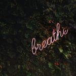 tim-goedhart-vnpTRdmtQ30-unsplash