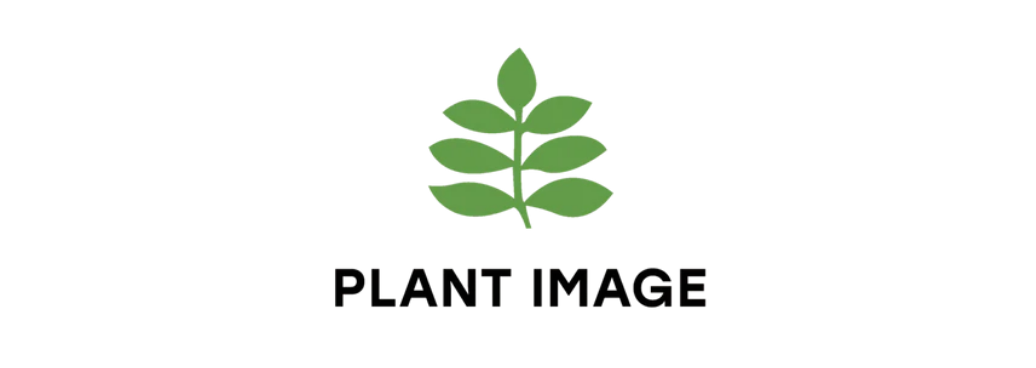 plantimage